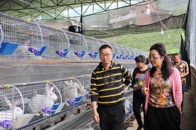 馬康鳳調研互助村 聚焦脫貧攻堅與畜牧漁業飼料銷售新路徑